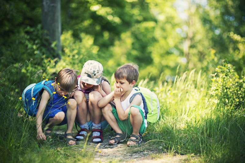 iStock-481033518.jpg