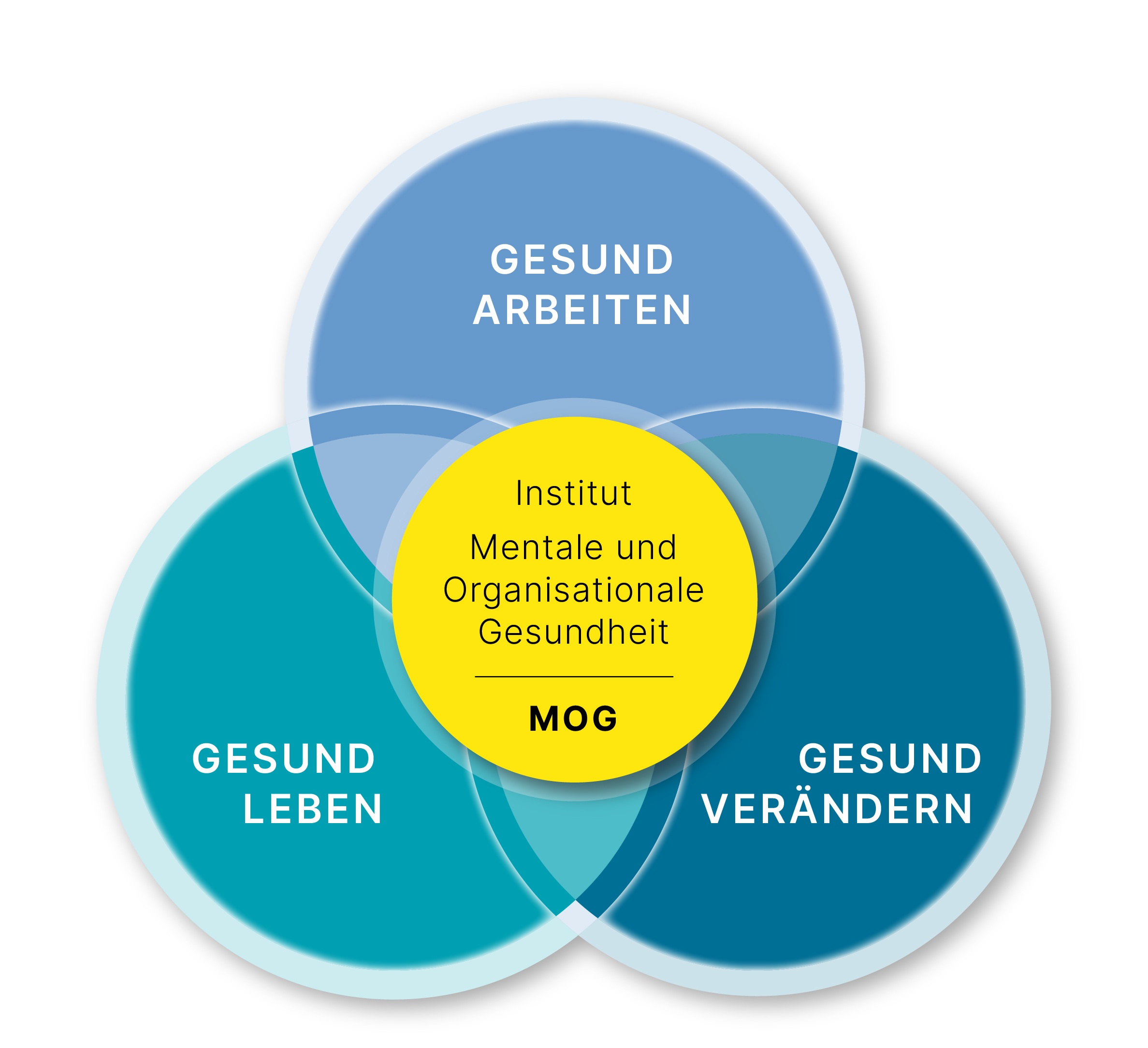 Visualisierung_Institut_MOG.png