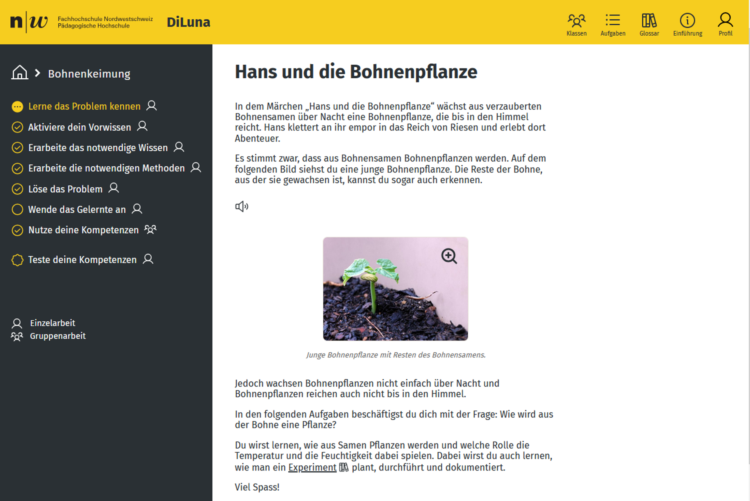 Bohne für Homepage_zugeschnitten.png