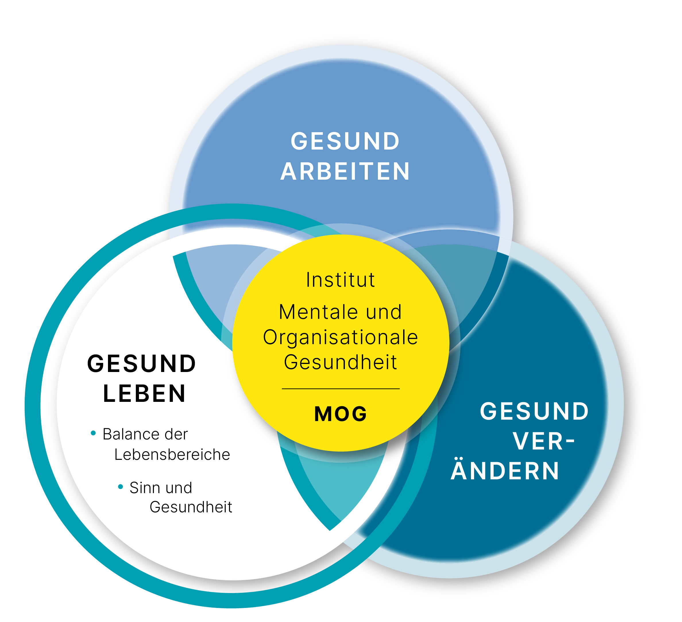 Visualisierung-MOG_final_241114_gesund-leben.png