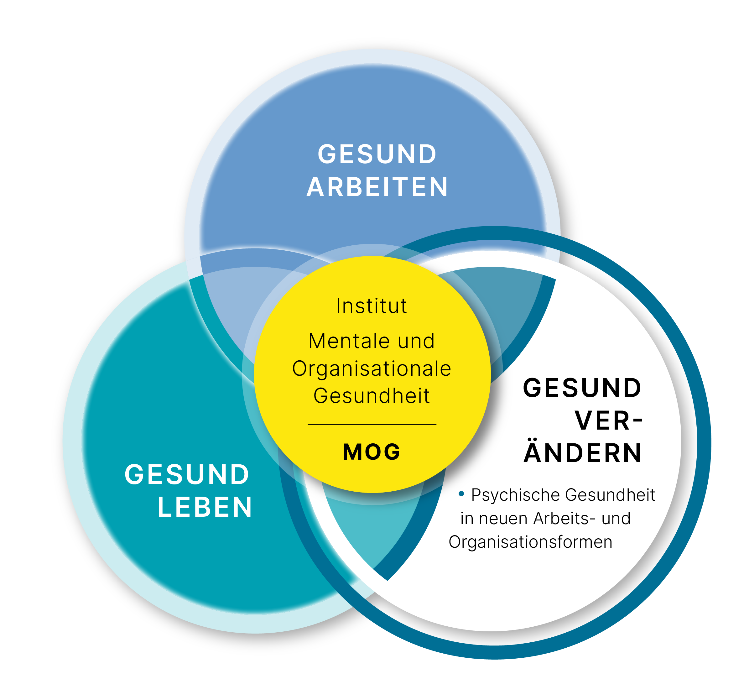 Visualisierung-MOG_final_241114_gesund-verändern.png