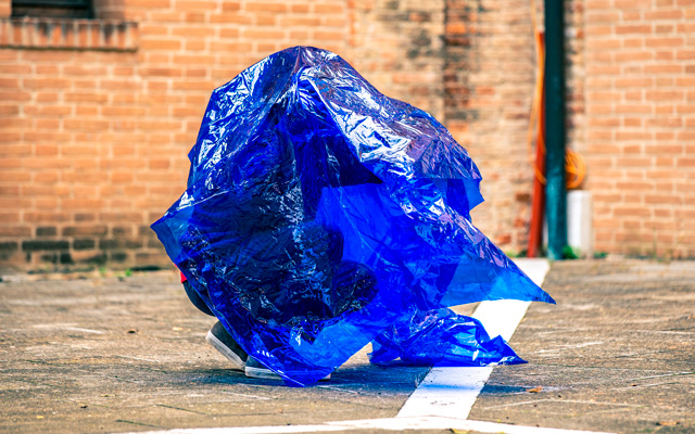 Team Institute Art Gender Nature (IAGN)