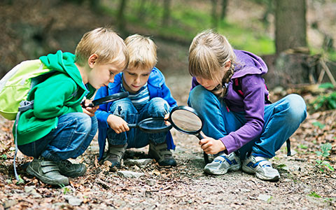 iStock-482854769_Umweltbildung_480x300.jpg