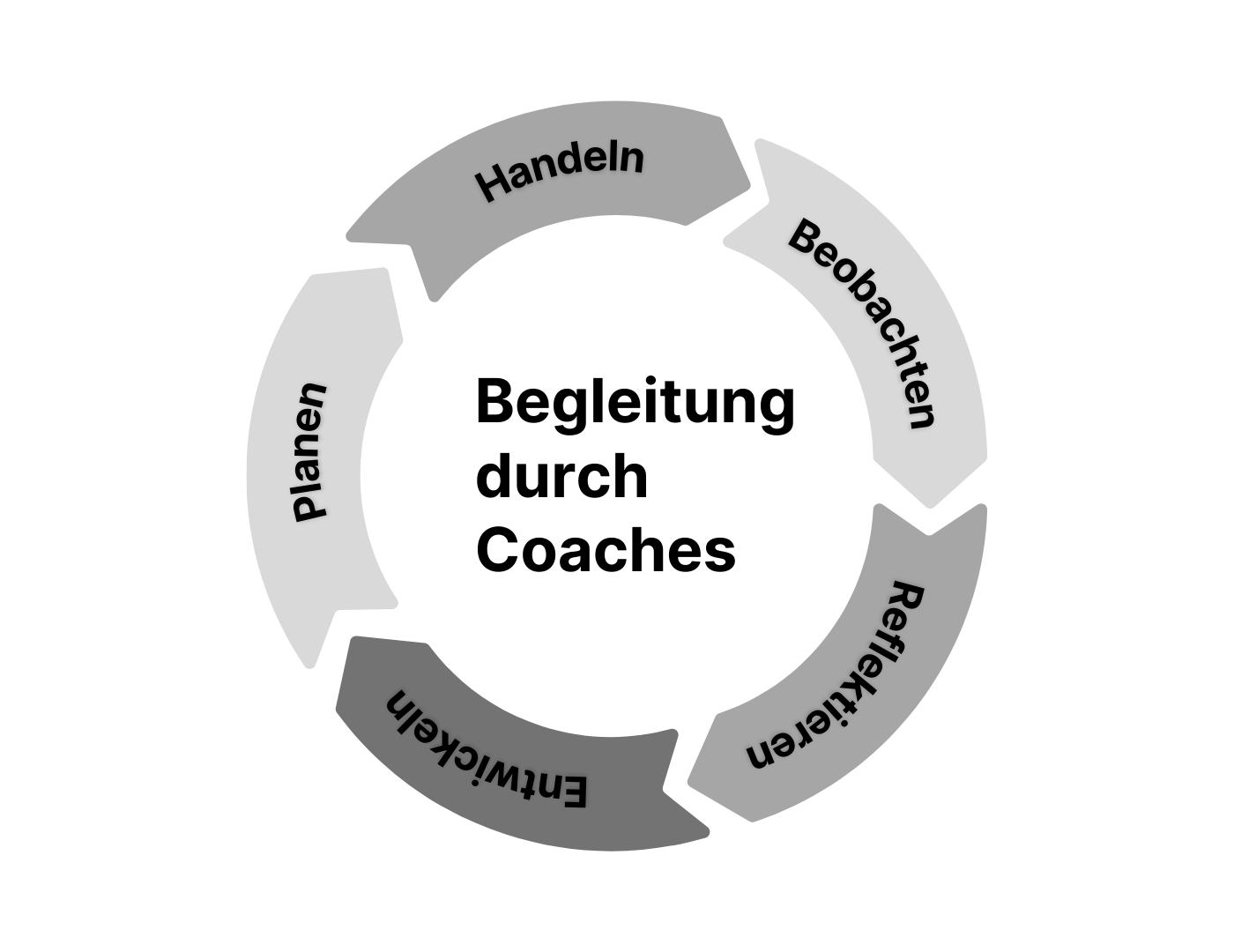 kreislauf der Begleitung durch das coaching