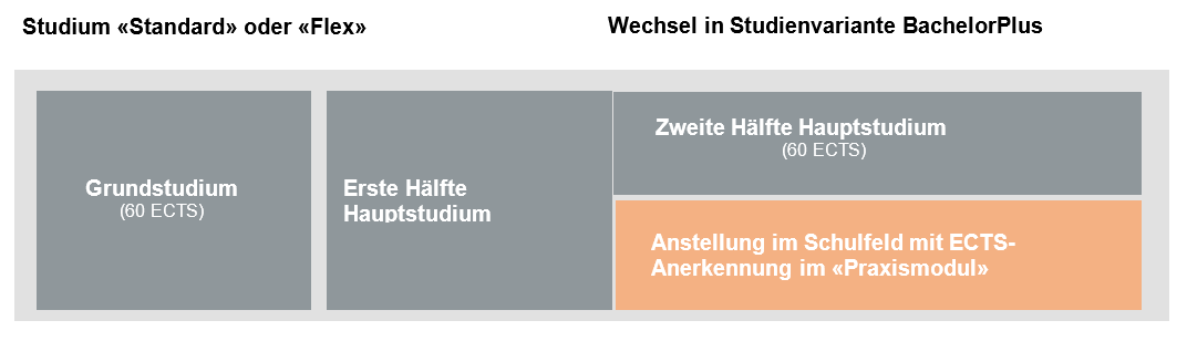 KU-Studienablauf-BachelorPlus.png