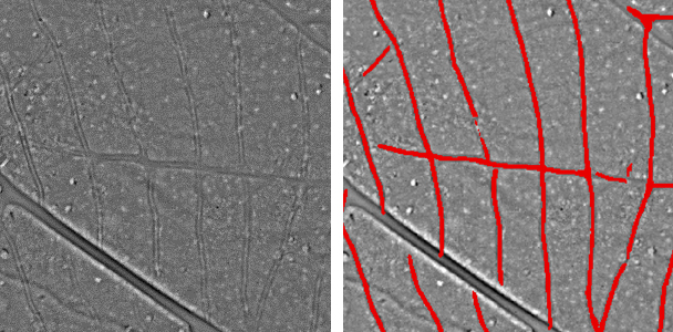 Bodenstrukturkarte und Strukturkarte mit Feinerschliessung