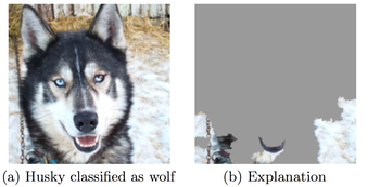 husky-test-das-data-science-ht-fhnw.jpg