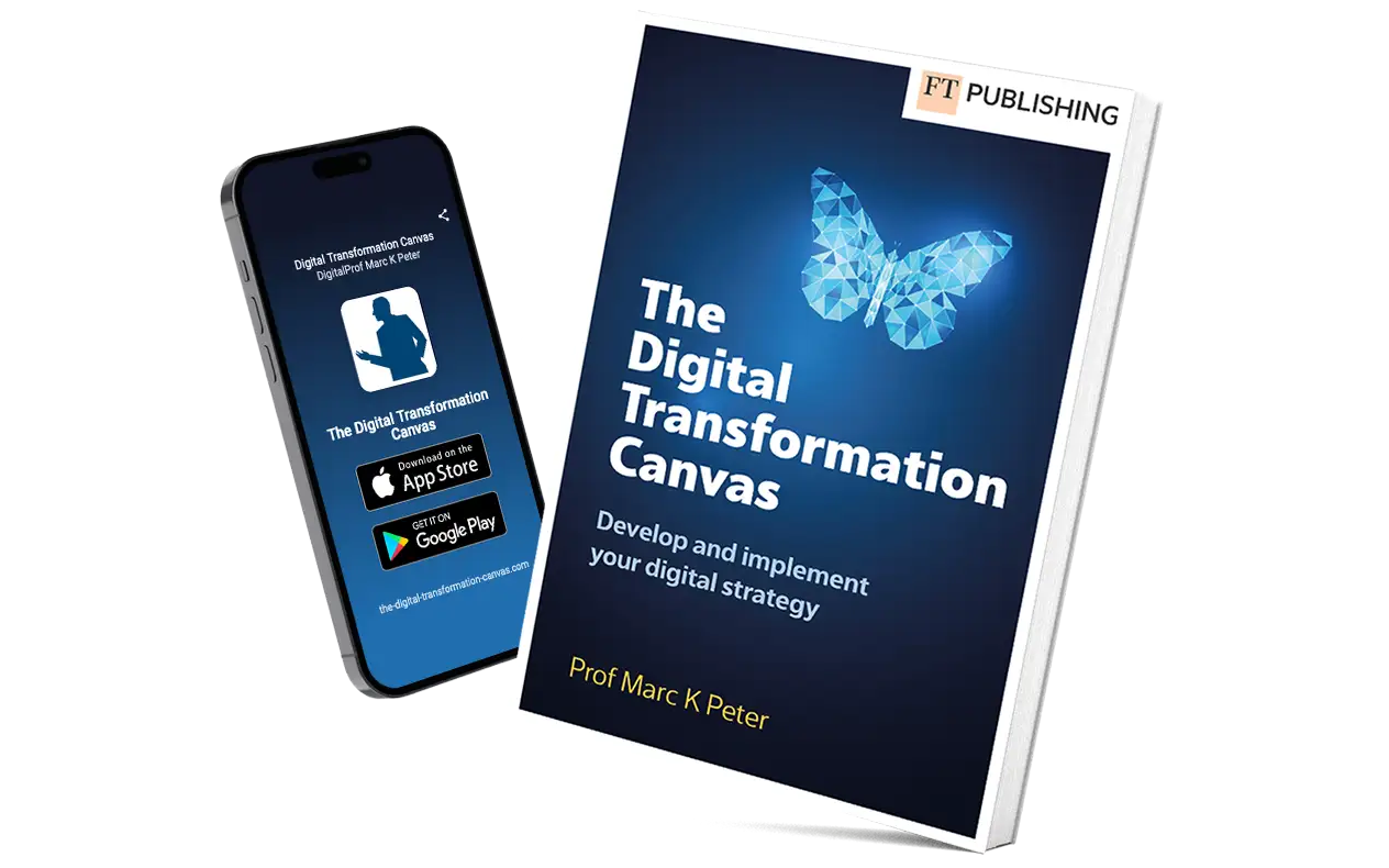 Portrait of Professor Helena Barnard, University of Pretoria, South Africa