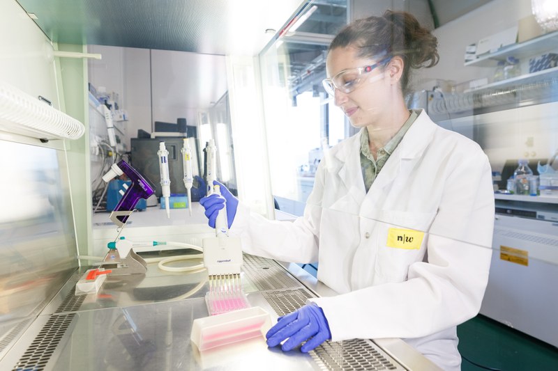MSc_Apllied-Cell_Biology.jpg
