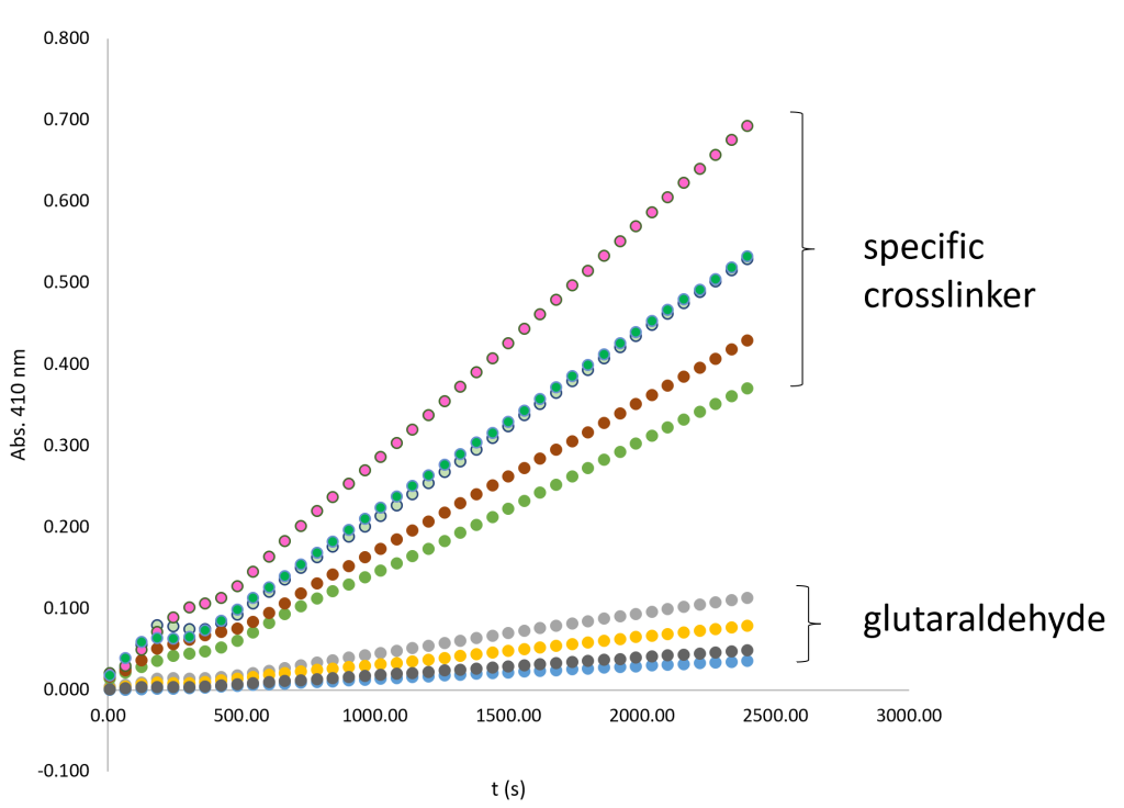 Highly active IgG-AP conjugates