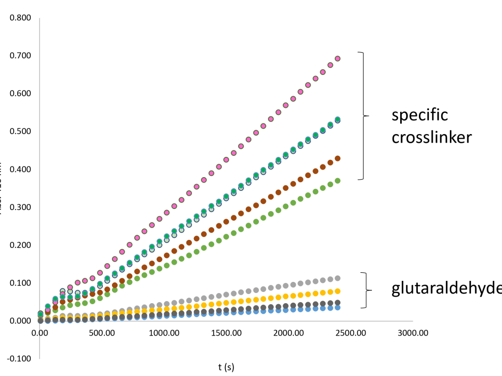 Highly active IgG-AP conjugates